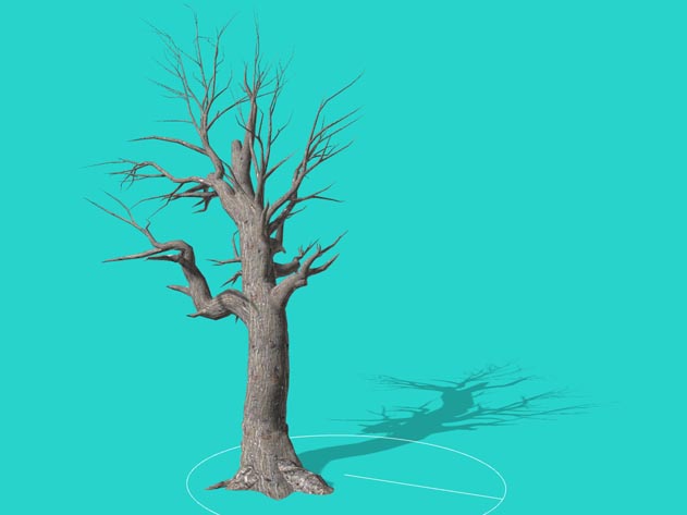 Image: Island Sun Spring