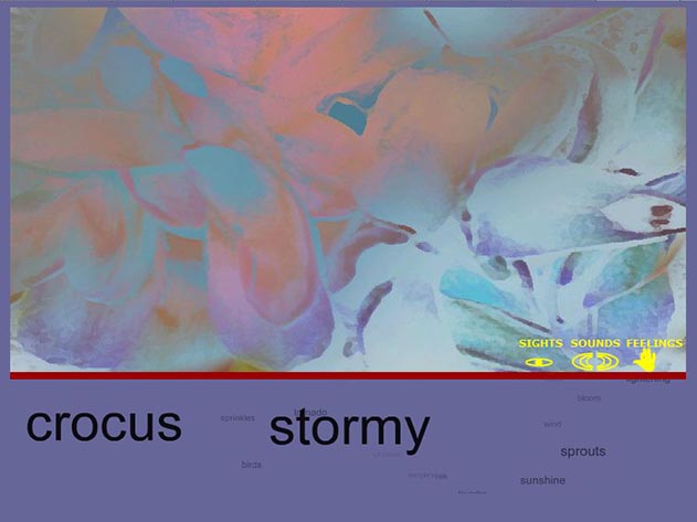 Spring Experimental Web site